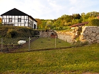 Zu Besuch in Steinsee (Foto: Peter Blei)
