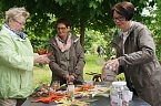 1. Ahornparkfest (Foto: Sandra Witzel)