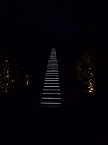 Bl&uuml;tenpracht in der Nordh&auml;user Nacht (Foto: Peter Blei)