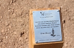 Neuer Kletterbaum in Nordh&auml;user Altstadt freigegeben (Foto: Angelo Glashagel)