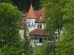 Besuch im Affenwald  (Foto: Peter Blei)