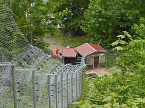 Besuch im Affenwald  (Foto: Peter Blei)