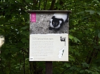 Besuch im Affenwald  (Foto: Peter Blei)