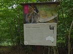 Besuch im Affenwald  (Foto: Peter Blei)