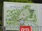 Besuch im Affenwald  (Foto: Peter Blei)