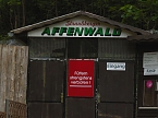 Besuch im Affenwald  (Foto: Peter Blei)