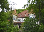 Besuch im Affenwald  (Foto: Peter Blei)