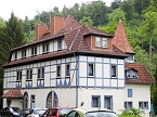 Besuch im Affenwald  (Foto: Peter Blei)