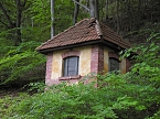 Besuch im Affenwald  (Foto: Peter Blei)