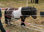 Besuch auf der Runneburg (Foto: Peter)