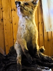 Besuch in der Obergrasm&uuml;hle (Foto: Peter Blei)