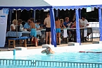 Badesportverein sucht Kilometer-Sponsoren (Foto: Badesportverein Gro&szlig;furra)