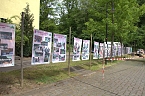 20. Rhododendron-Fest in S&uuml;lzhayn (Foto: Peter Blei)