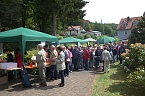 20. Rhododendron-Fest in S&uuml;lzhayn (Foto: Peter Blei)