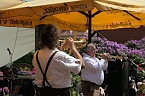 20. Rhododendron-Fest in S&uuml;lzhayn (Foto: Peter Blei)