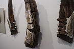 In der neuen Ausstellung der Kreissparkasse "Verg&auml;nglichkeiten" werden Natur und Handwerkskunst miteinander verbunden (Foto: Angelo Glashagel)