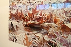 In der neuen Ausstellung der Kreissparkasse "Verg&auml;nglichkeiten" werden Natur und Handwerkskunst miteinander verbunden (Foto: Angelo Glashagel)
