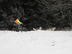 Schlittenhunderennen 2016 in Benneckenstein (Foto: Peter Blei)