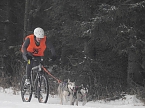 Schlittenhunderennen 2016 in Benneckenstein (Foto: Peter Blei)