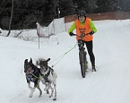 Schlittenhunderennen 2016 in Benneckenstein (Foto: Peter Blei)