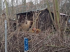 Entlang der B&auml;ckerstra&szlig;e (Foto: Peter Blei)