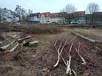 Entlang der B&auml;ckerstra&szlig;e (Foto: Peter Blei)