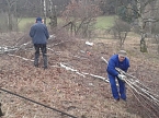 Viel zu tun - der BUND war am Wochenende wieder in der R&uuml;digsdorfer Schweiz im Einsatz (Foto: Bodo Schwarzberg)