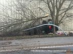 Das Ende einer Flucht bei Gro&szlig;furra (Foto: privat)