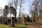 Der Fr&uuml;hling kommt - im Park Hohenrode ist er schon ein bisschen da (Foto: Angelo Glashagel)