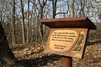 Der Fr&uuml;hling kommt - im Park Hohenrode ist er schon ein bisschen da (Foto: Angelo Glashagel)