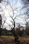 Der Fr&uuml;hling kommt - im Park Hohenrode ist er schon ein bisschen da (Foto: Angelo Glashagel)