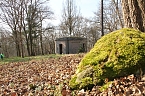 Der Fr&uuml;hling kommt - im Park Hohenrode ist er schon ein bisschen da (Foto: Angelo Glashagel)