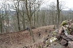 Voller Arbeitseinsatz &uuml;ber Ilfeld - gut 40 Personen waren heute auf dem Burgberg &uuml;ber der Stadt aktiv (Foto: Angelo Glashagel/Kathleen Hahenmann)