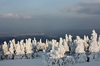 Am Frauentag auf den Brocken (Foto: H. Fischer/AHP)