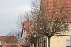 1.500 Ostereier angehangen (Foto: Sophia Schm&uuml;cking)