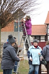 1.500 Ostereier angehangen (Foto: Sophia Schm&uuml;cking)
