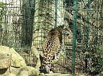 Tierisches Treiben im Dessauer Park (Foto: Peter Blei)