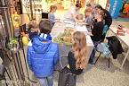 2. Kreativtag in der Galerie (Foto: City Scout Sven G&auml;mkow)