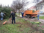 Fr&uuml;hjahrsputz in Heringen (Foto: Chris Schr&ouml;der)