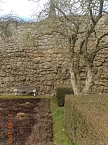 Petersberggarten erwacht aus dem Winterschlaf (Foto: Jens Eisenschmidt)