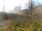 Petersberggarten erwacht aus dem Winterschlaf (Foto: Jens Eisenschmidt)