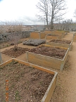 Petersberggarten erwacht aus dem Winterschlaf (Foto: Jens Eisenschmidt)