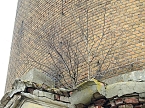 Wasserturm in Delitzsch (Foto: Peter Blei)