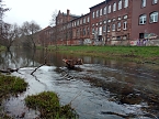 Einkaufswagen im Fluss (Foto: Peter Blei)
