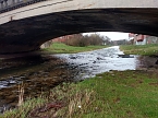 Einkaufswagen im Fluss (Foto: Peter Blei)