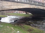 Einkaufswagen im Fluss (Foto: Peter Blei)