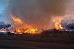 Osterfeuer in Bielen (Foto: Nicole Schulz)