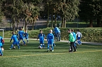 Das Fu&szlig;ball-Ferien-Camp hat begonnen (Foto: nnz)