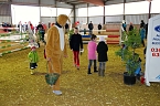 Hallenreitturnier in Immenrode (Foto: Bernd Peter)