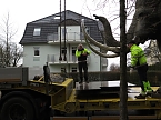 Das Mammut ist umgezogen (Foto: nnz)